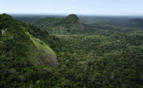 Gabon's rolling hills and savanna